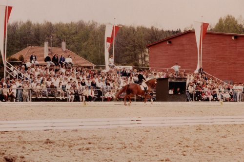 Tribüne Reiten